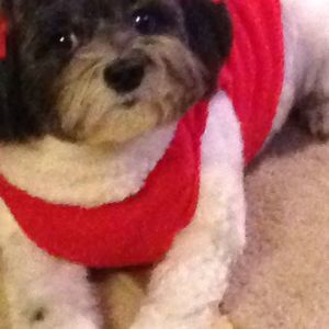 Meet your Posher, Barbara